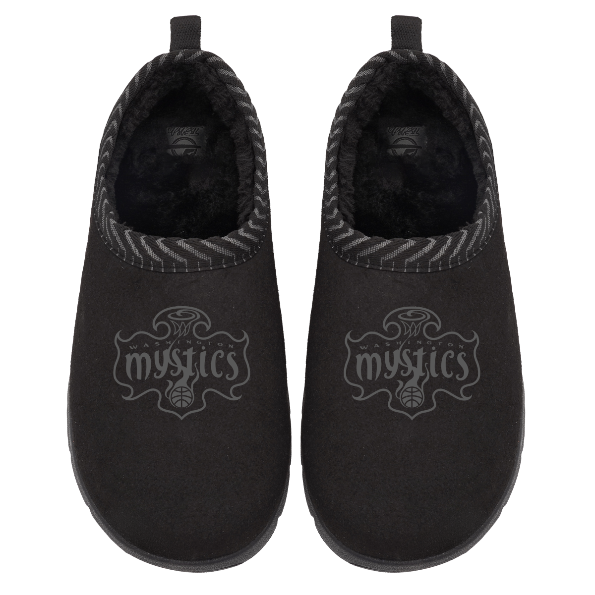 Washington Mystics Tonal Logo Mission