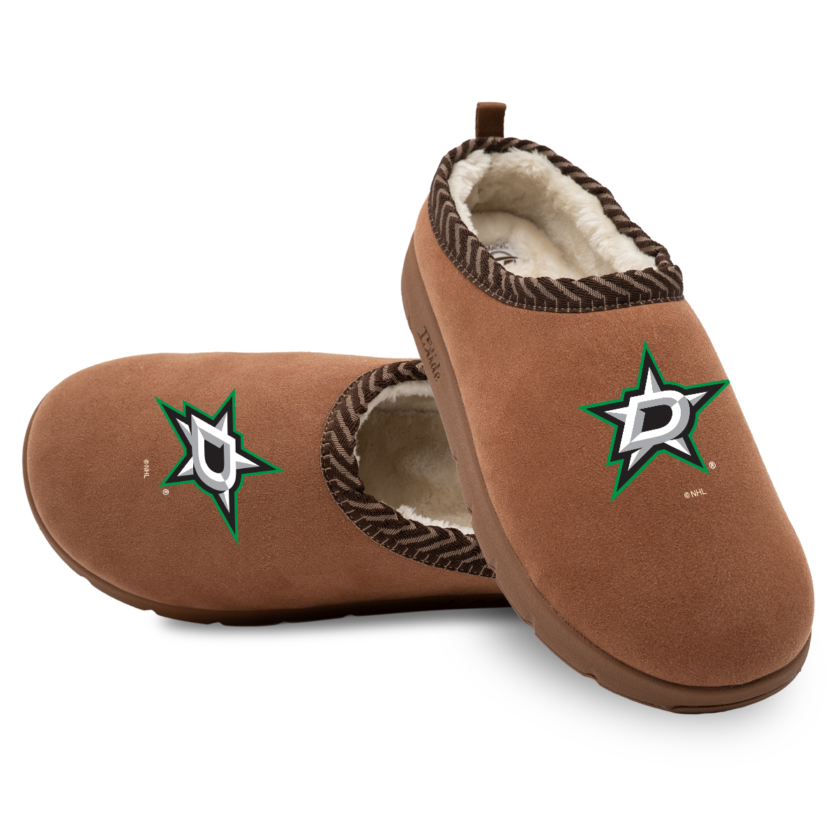 Dallas Stars Primary Logo Mission