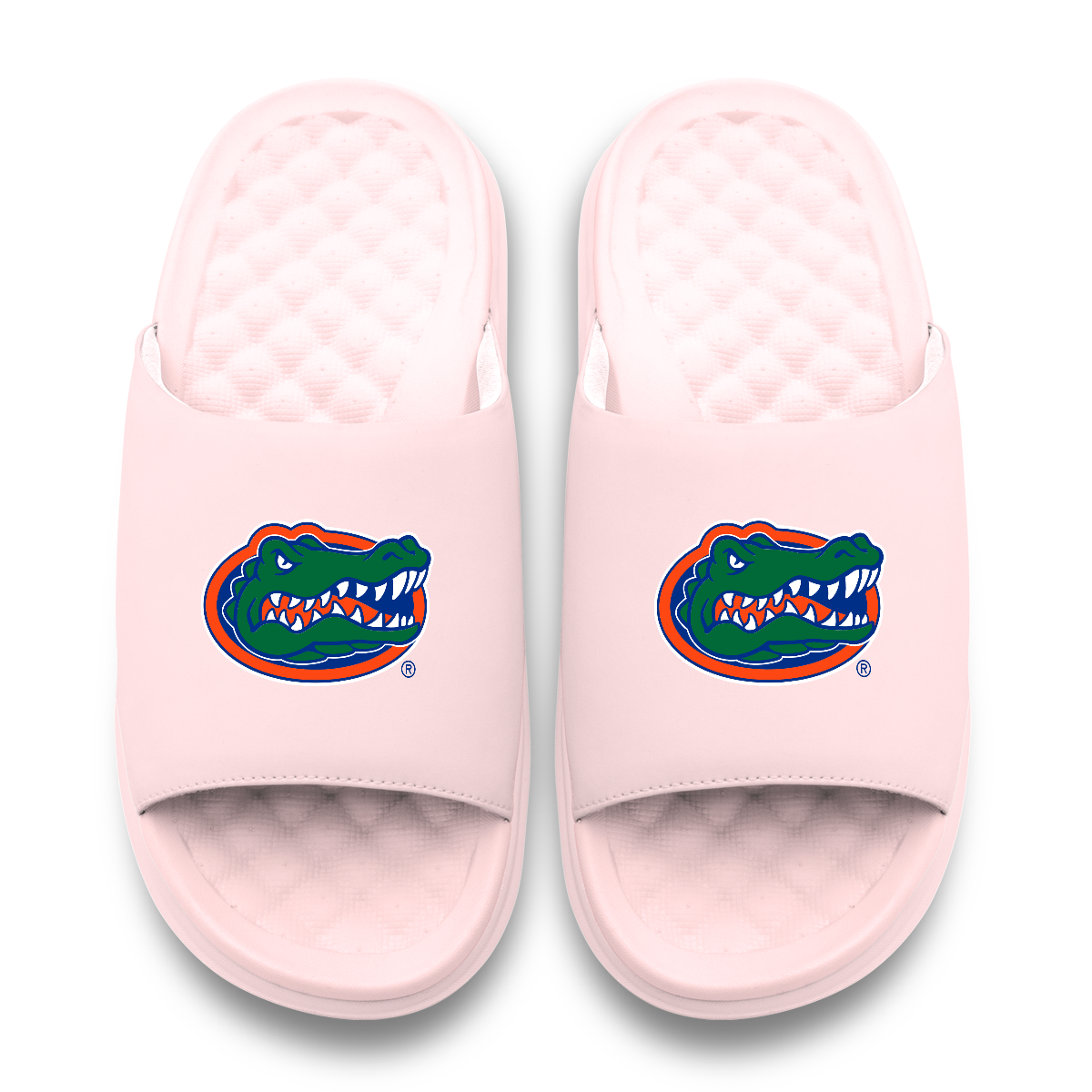 Florida Gators Primary Motive