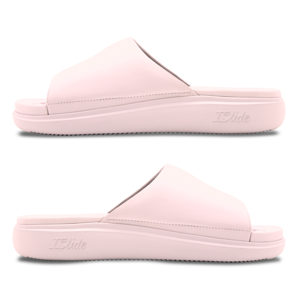 Florida Gators Primary Motive