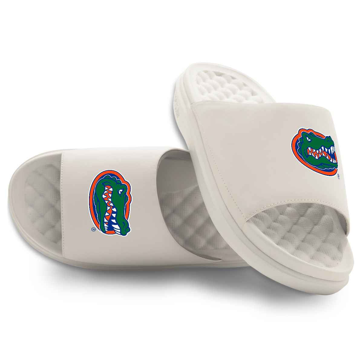Florida Gators Primary Motive