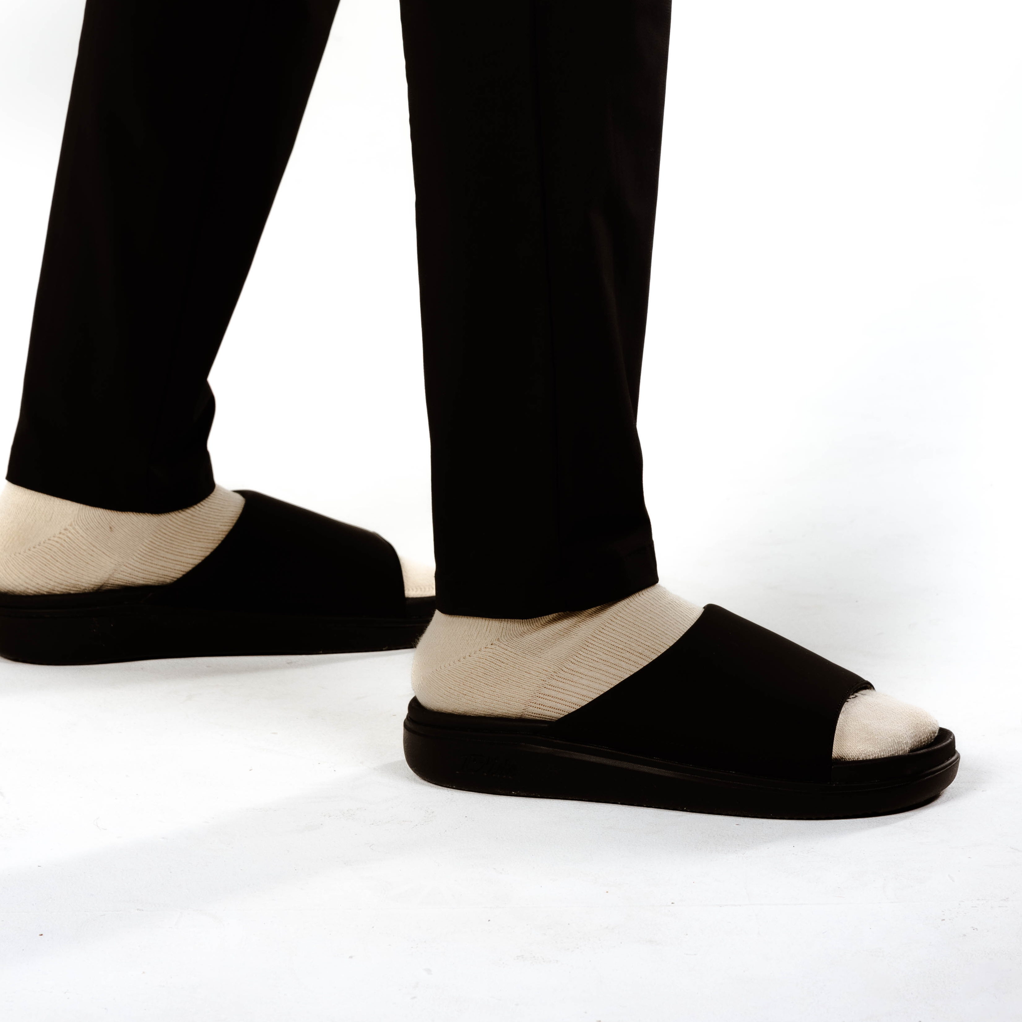 Florida Gators Primary Motive