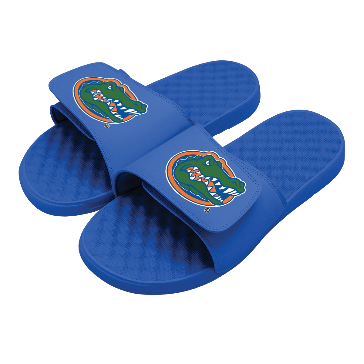 Florida Gators Primary Slides