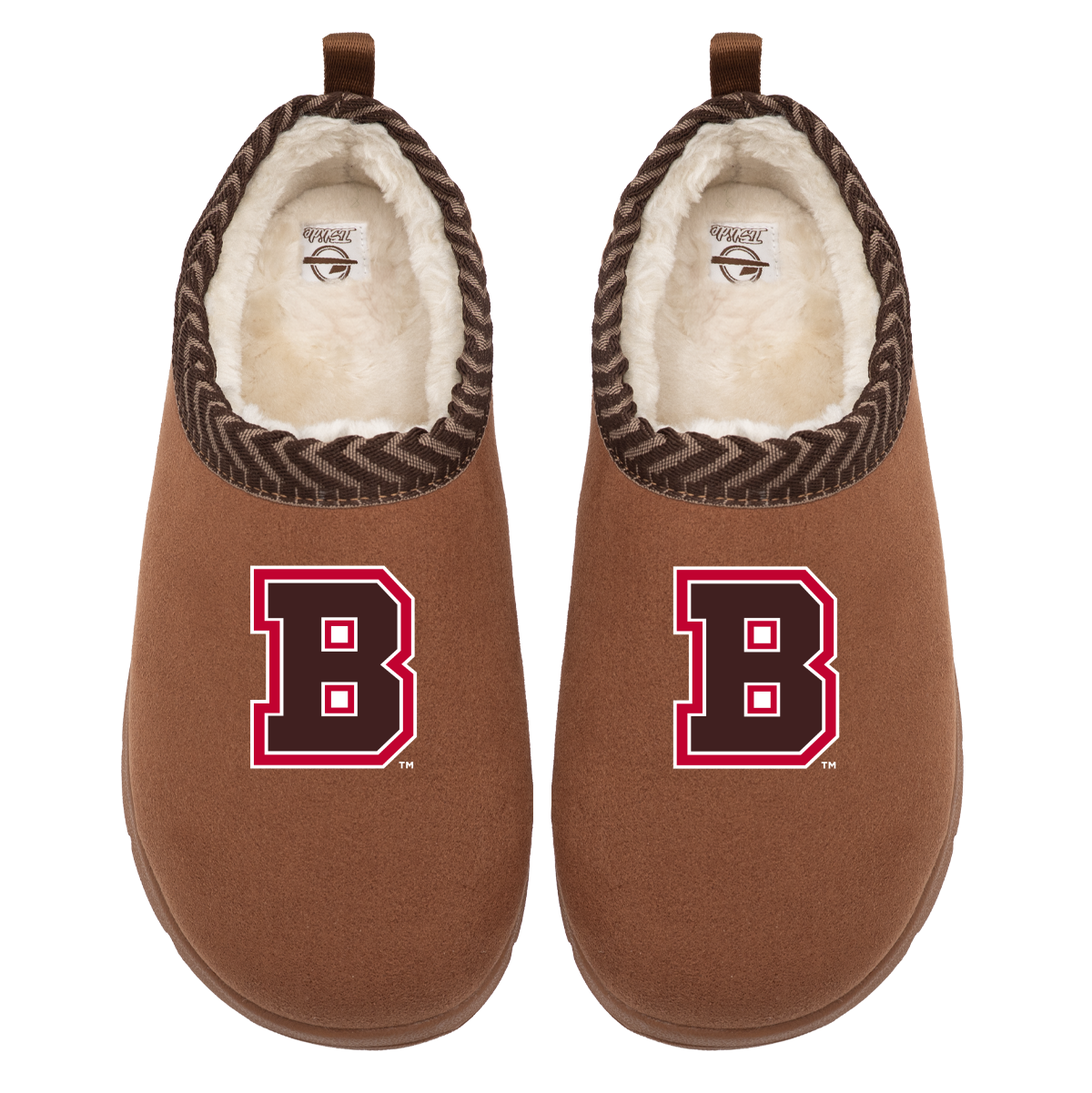 Brown Bears Primary Logo Mission