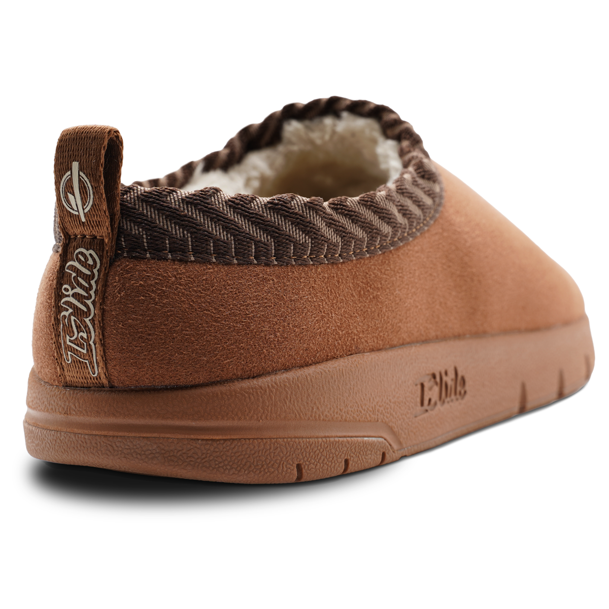 Tampa Bay Rays Primary Logo Mission