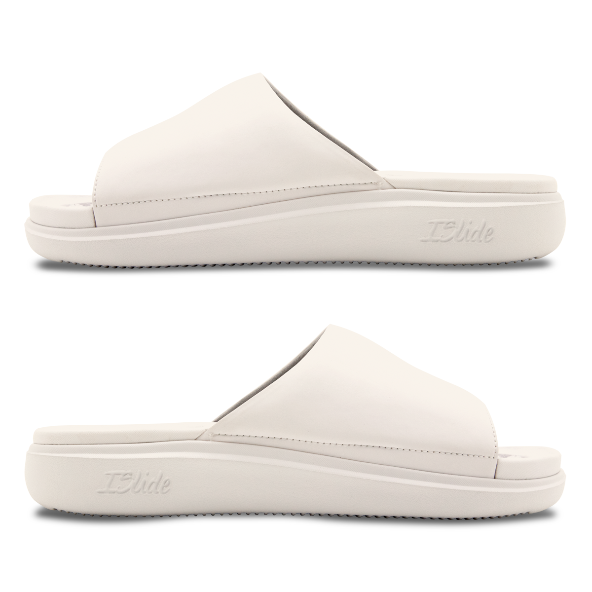 Florida Gators Primary Motive